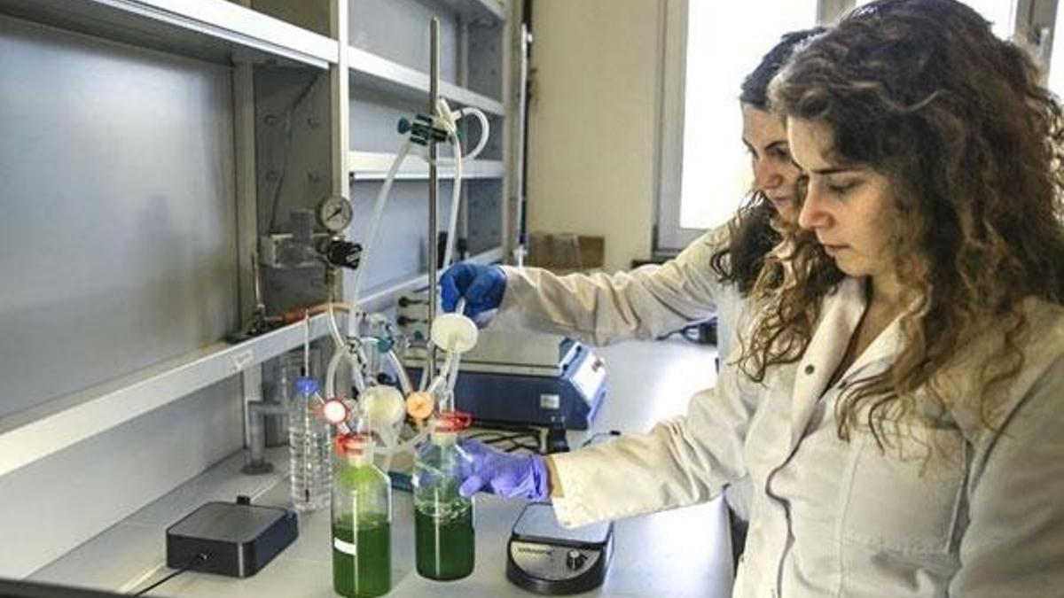 Enerjisini üreten çevreci kampüs, insanlığın sorunlarına yosunla çözüm arıyor