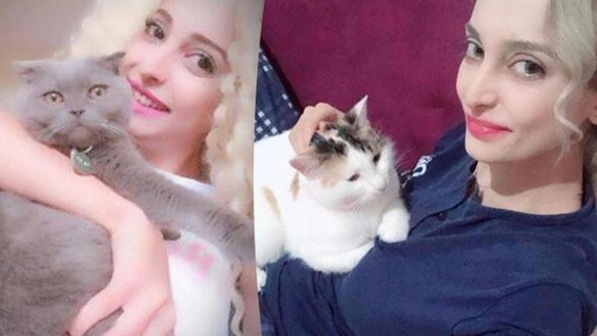 Kedileri vahşice öldürüldü, eski sevgilisinden şikayetçi oldu