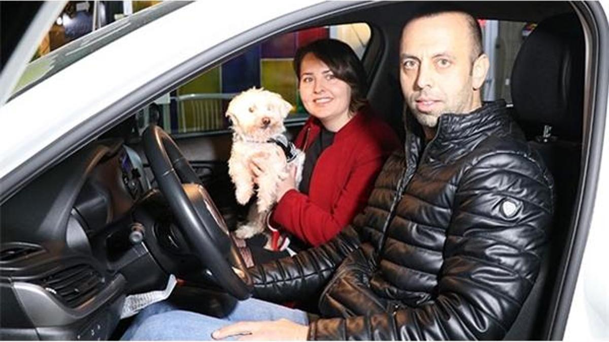 Köpeği otomobil kazandırdı!