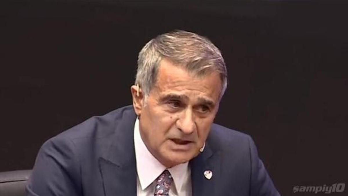 Şenol Güneş: Benim elimden paramı da aldılar 2 yılımı da aldılar