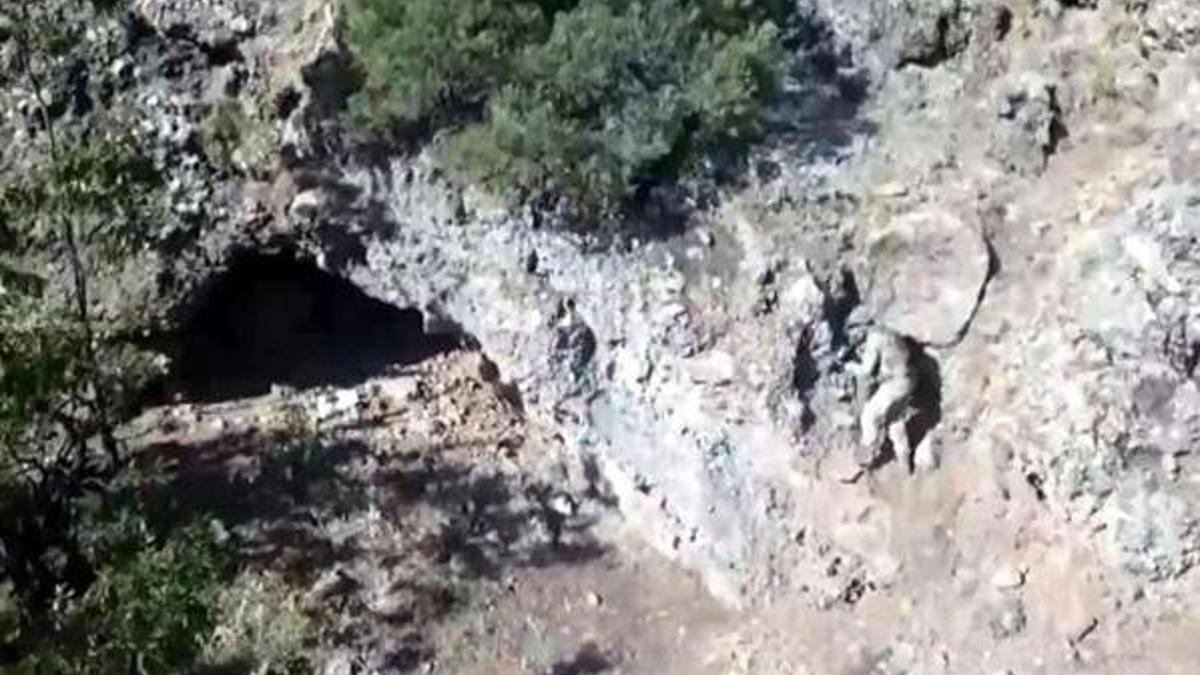 Kıran-7 operasyonu nedir? Operasyonda kaç personel görev aldı?