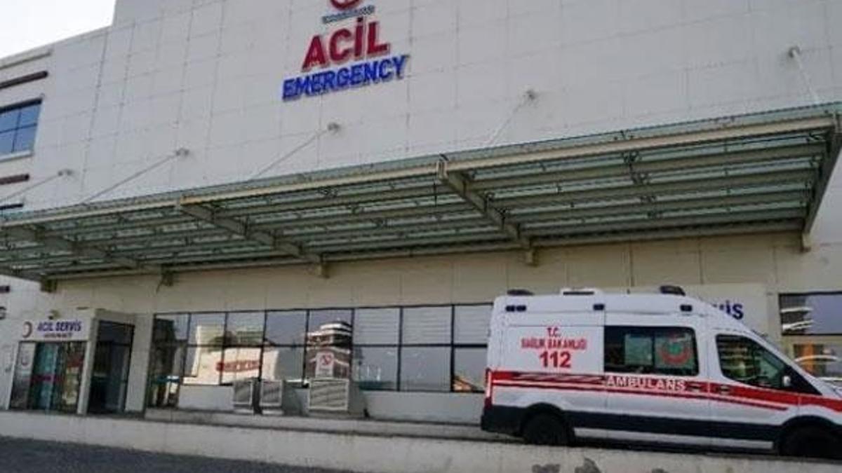 Kastamonu'da dehşete düşüren olay!
