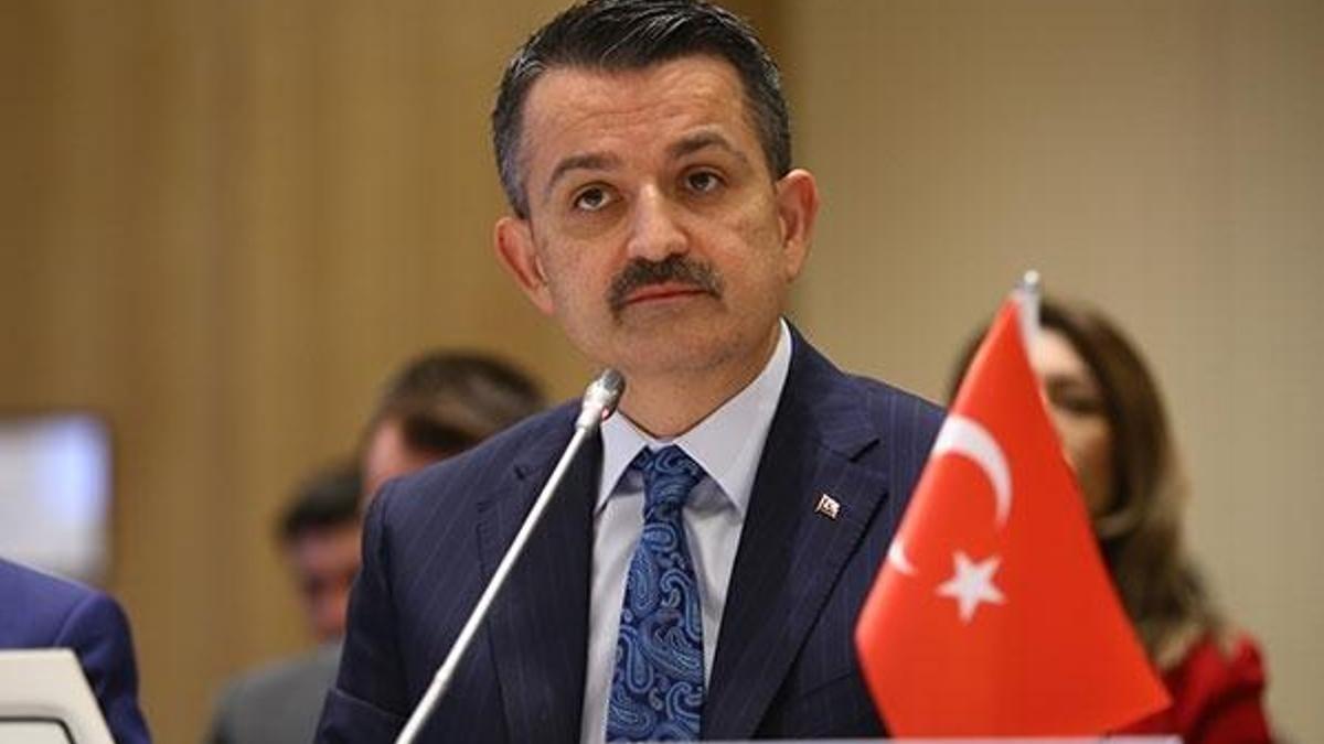 Bakan Pakdemirli: Sigarada standart paketin ana amacı caydırıcılığı artırmak