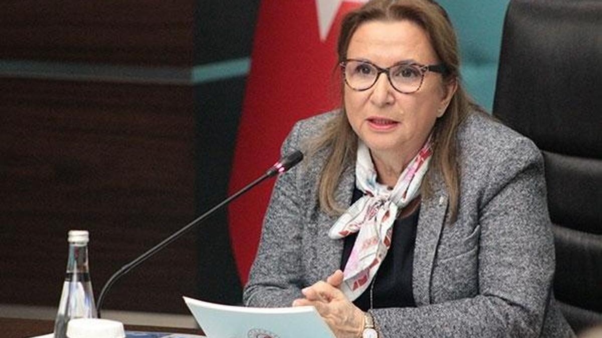 Bakan Pekcan açıkladı: Yeni modeli oluşturduk