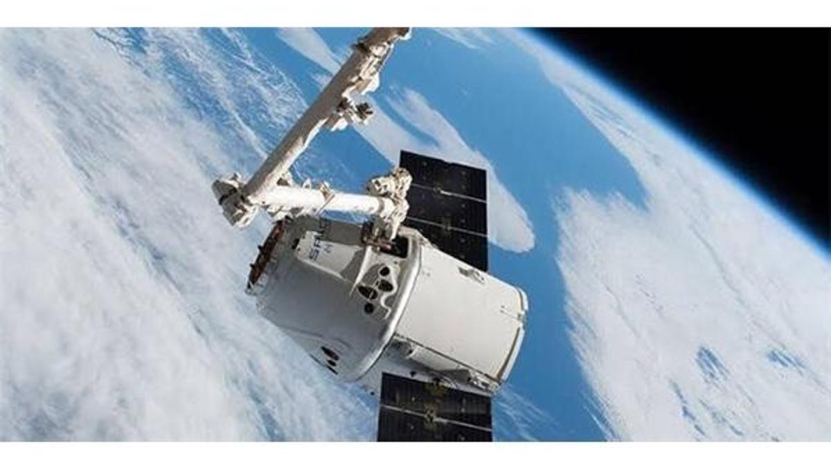SpaceX bir ilke daha imza attı! 'Süper fareler' uzaya ulaştı