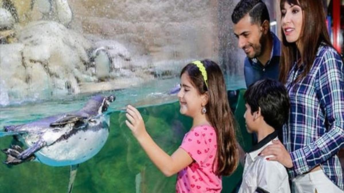 Türkiye'nin ilk ve tek sualtı hayvanat bahçesi Emaar’da!