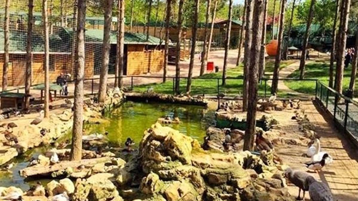 Park of İstanbul’da macera, eğlence ve keşif dolu saatler!