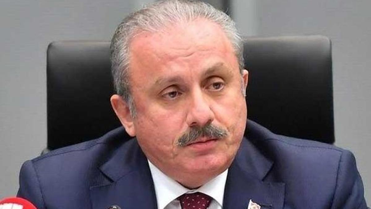 Meclis Başkanı Şentop: Ciddiye alınacak bir karar değil!