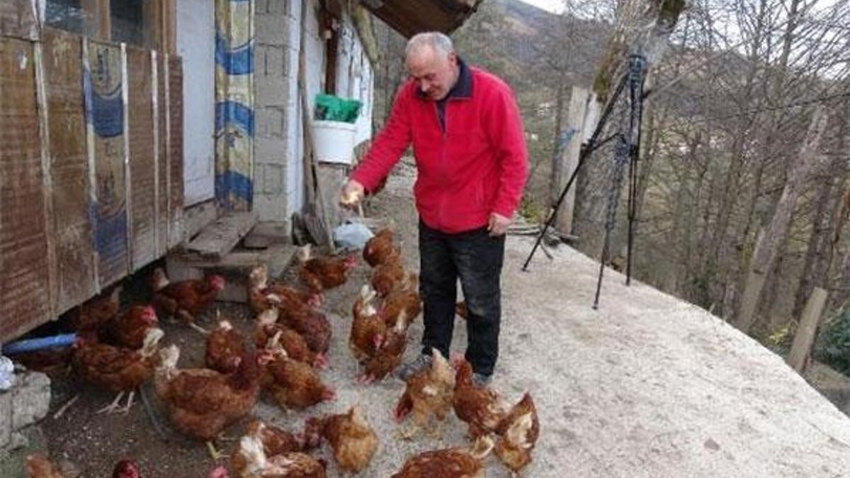 Mühendisliği bıraktı, tavuk çiftliği kurdu