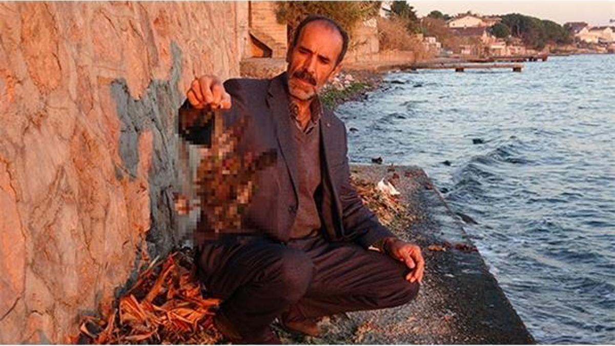 Güvercinlerini öldüren atmacayı böyle yakaladı