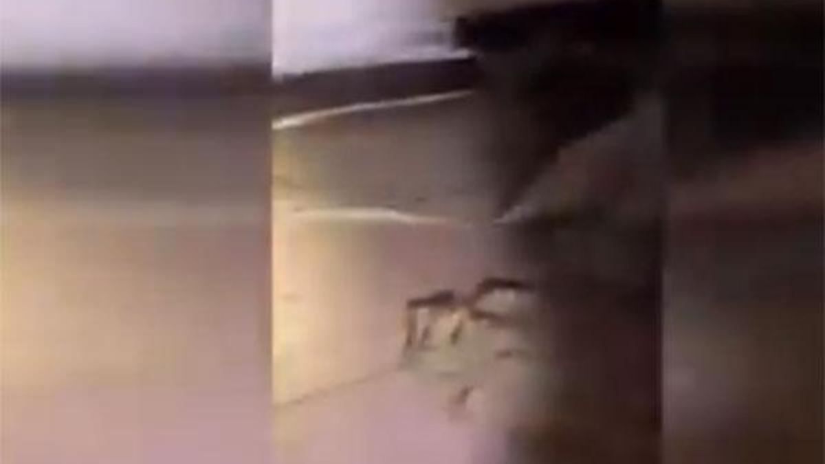 Terör örgütüne darbe! 2 yeni sığınak ele geçirildi