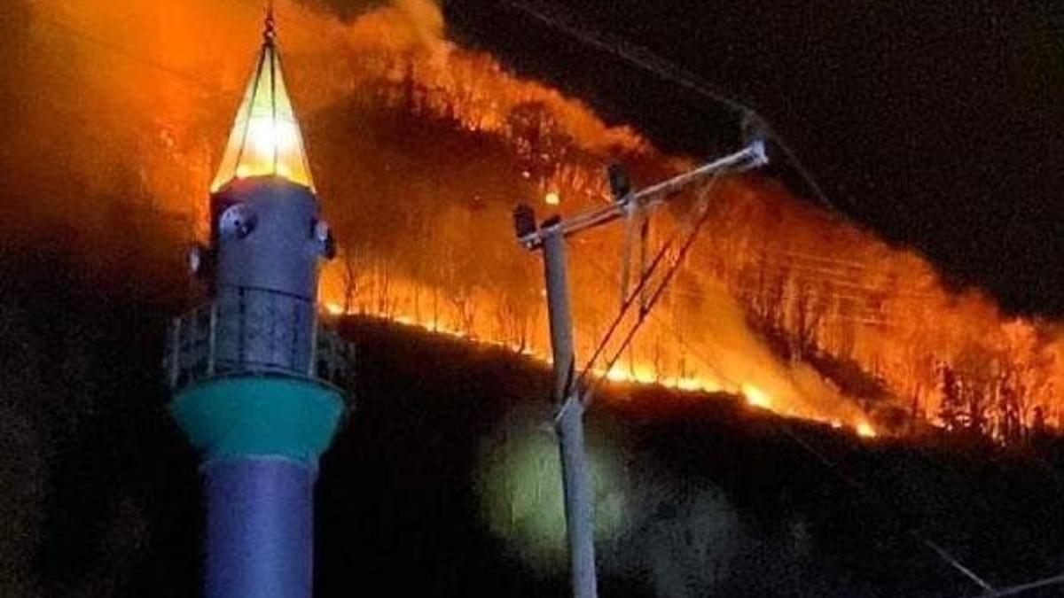 Karadeniz'de 26 noktada yangın! Kriz merkezi oluşturuldu