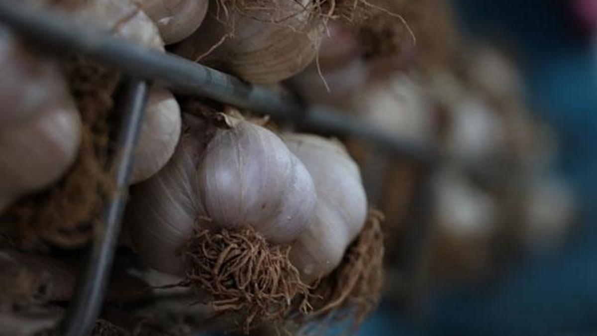 HPV’ye karşı yol arkadaşınız: Bağışıklık sistemi