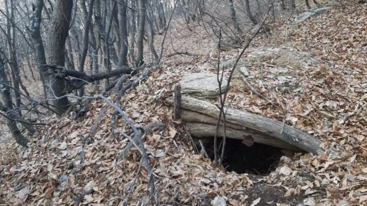 Bitlis'te terör örgütü PKK'ya ait 2 sığınak bulundu