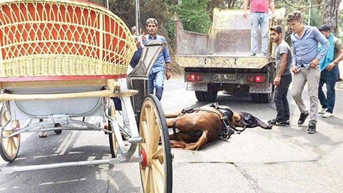 3 yıldır tanık olduğu vahşeti anlattı! Detayları kan dondurdu