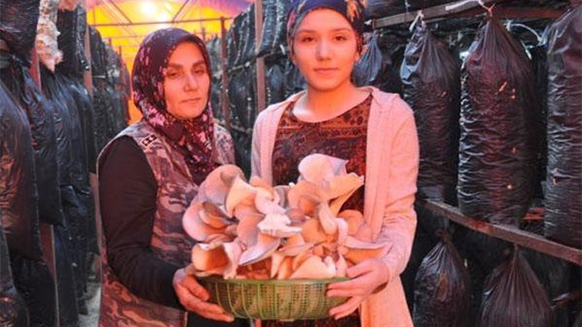 Devlet desteğiyle kurduğu mantar tesisiyle kendi işinin patronu oldu