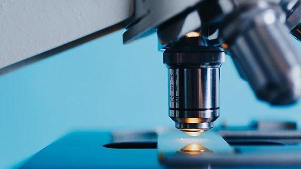 2019'un fark yaratan 10 bilimsel buluşu belli oldu