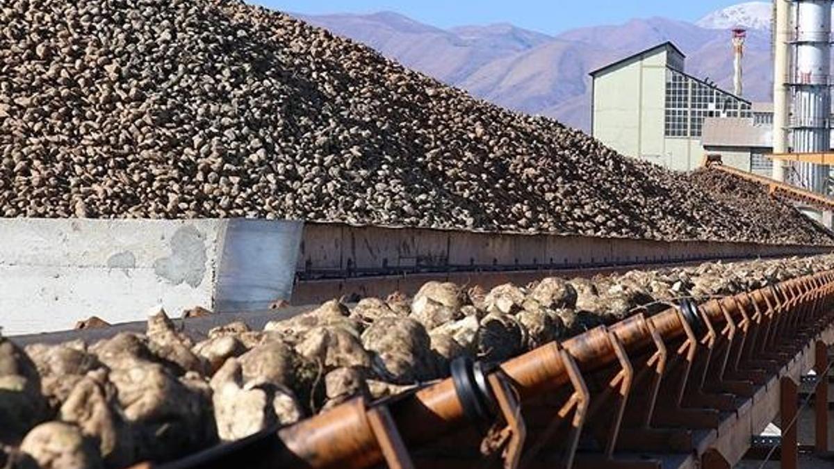 Şeker Fabrikası işçi alımı 2020 başvuru şartları ve tarihi nedir?