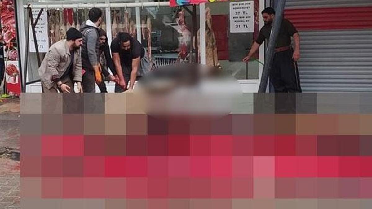 Şanlıurfa'da deve kesme anları kan dondurdu