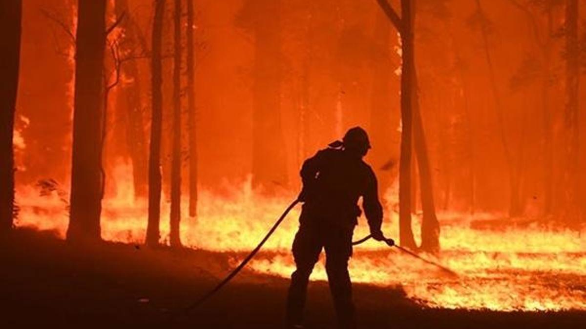 Avustralya neden yanıyor, yangının sebebi ne? 24 kişi hayatını kaybetti, 480 milyon hayvan öldü!