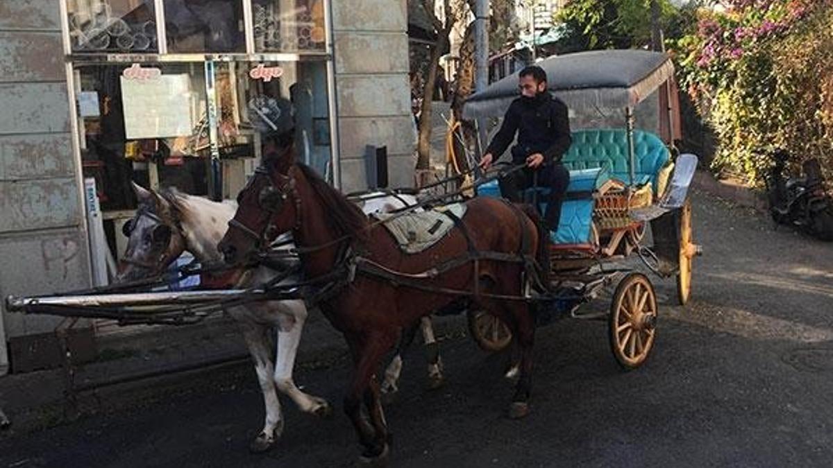 Adalar'daki faytonlarla ilgili flaş gelişme