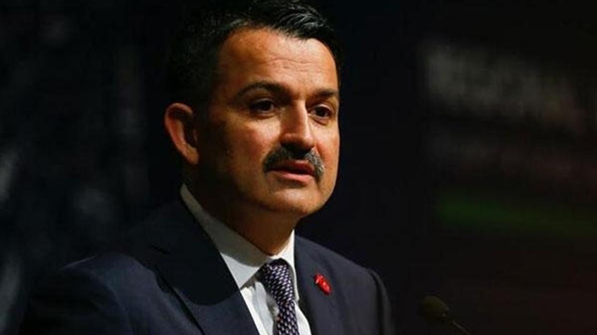 Bakan Pakdemirli açıkladı! Bugün hesaplara yatacak