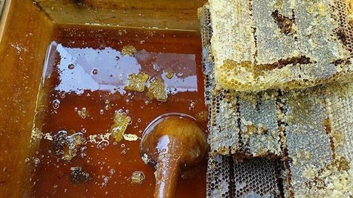 Türk balı geçen yıl 45 ülkede ağızları tatlandırdı