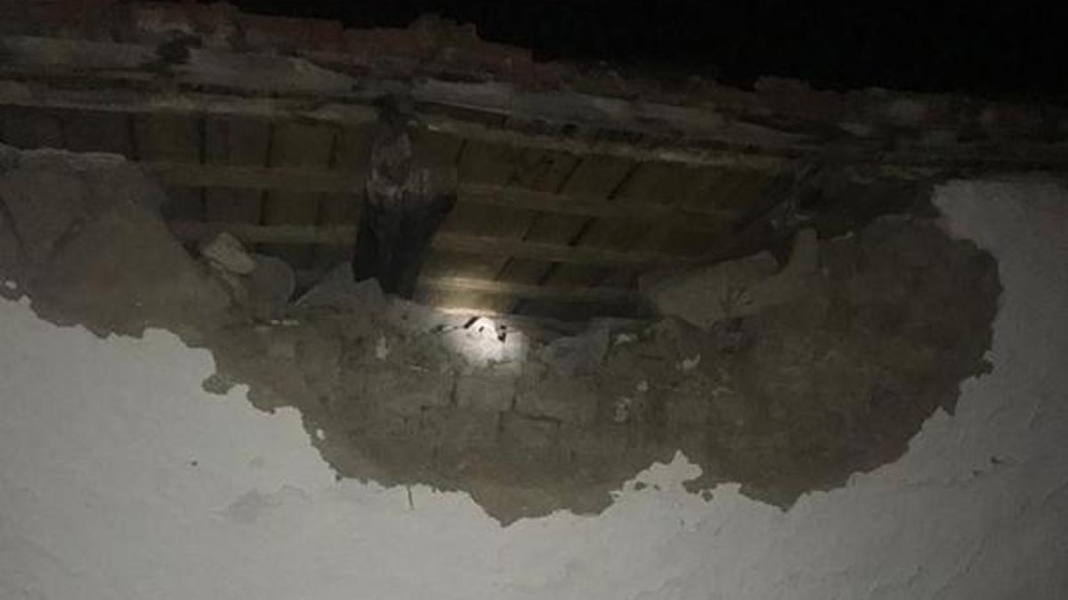 Uzmanlar Manisa'daki deprem ile ilgili korkutan uyarı