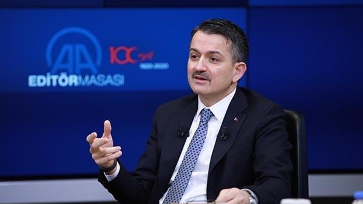 Bakan Pakdemirli duyurdu:Ödemeler bugün başlıyor!