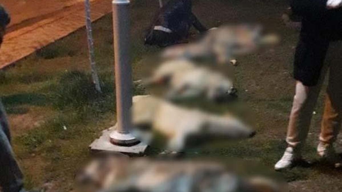 Ankara'daki vahşette flaş gelişme! 3 sanığa 10’ar yıl hapis