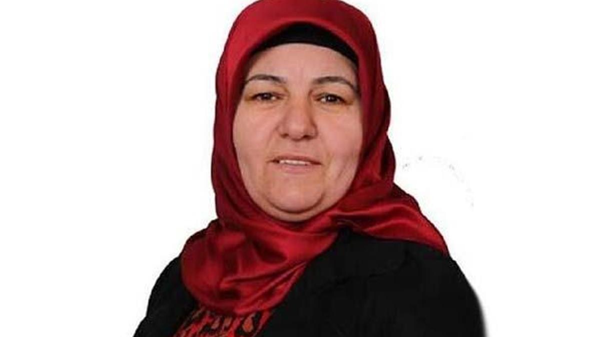 Erciş eski Belediye Başkanı HDP'li Çetin'in 15 yıl hapsi istendi