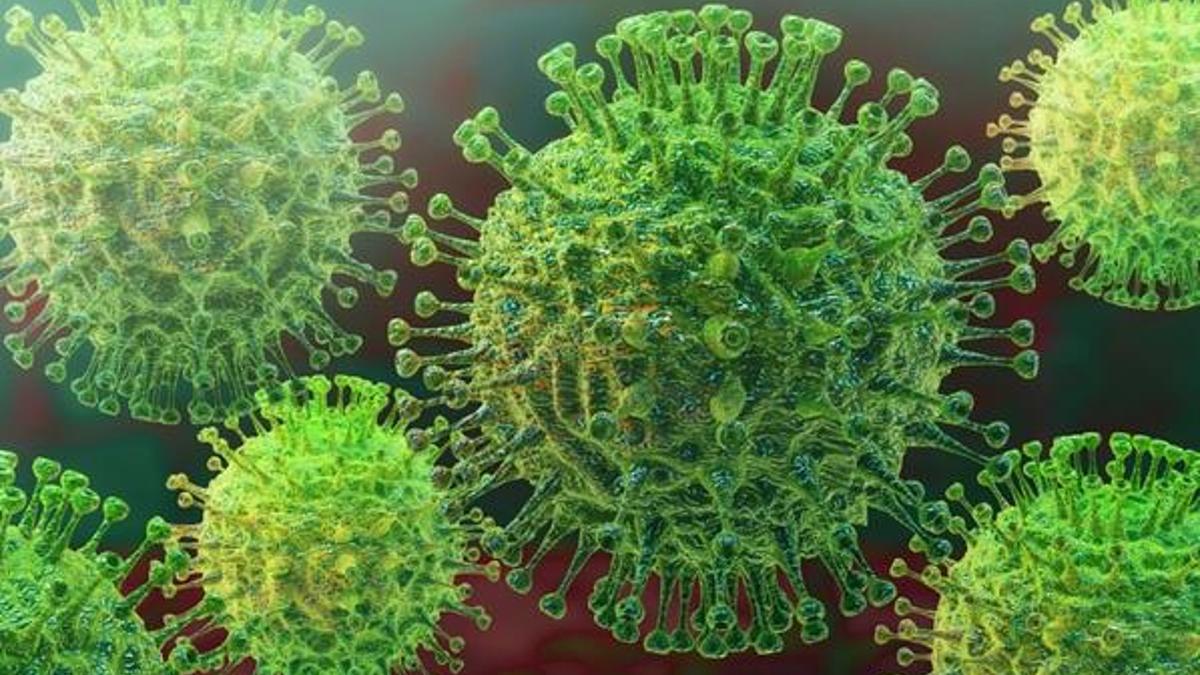 Lassa virüsü nedir? Ateş belirtileri nelerdir? Nijerya'da Lassa Ateşi Salgını