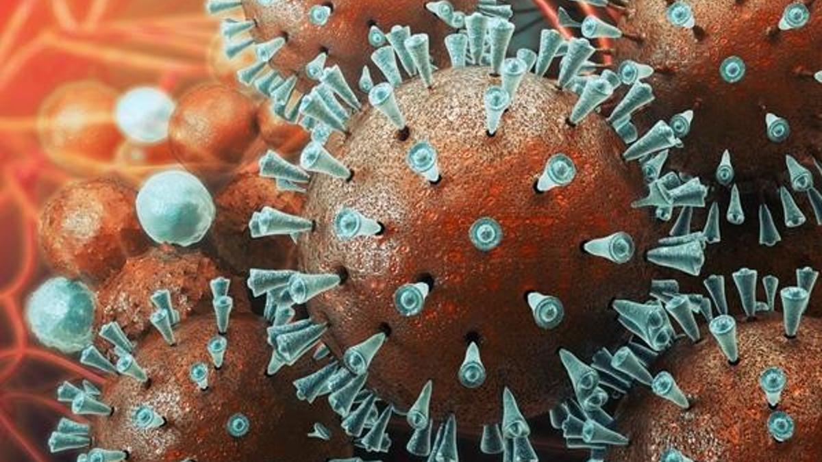 Fahrettin Koca’nın Türkiye’de Coronavirus salgını açıklaması! Koronavirüs/Coronavirüs nedir? Coronavirüs aşısı var mı?