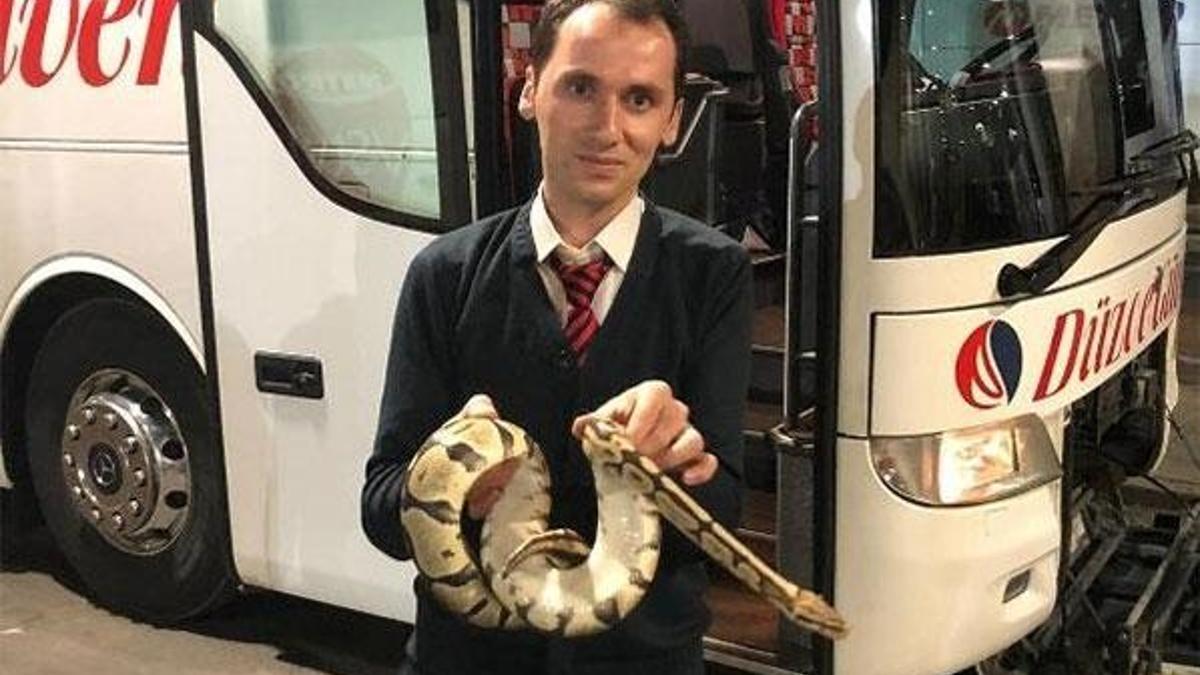 Otobüsün bagajındaki piton kaçtı, stepne bölümünde bulundu