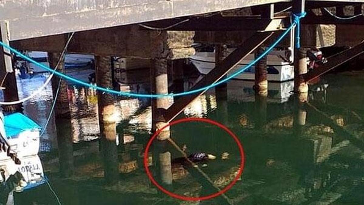 Görenler şoke oldu hemen polise bildirildi!