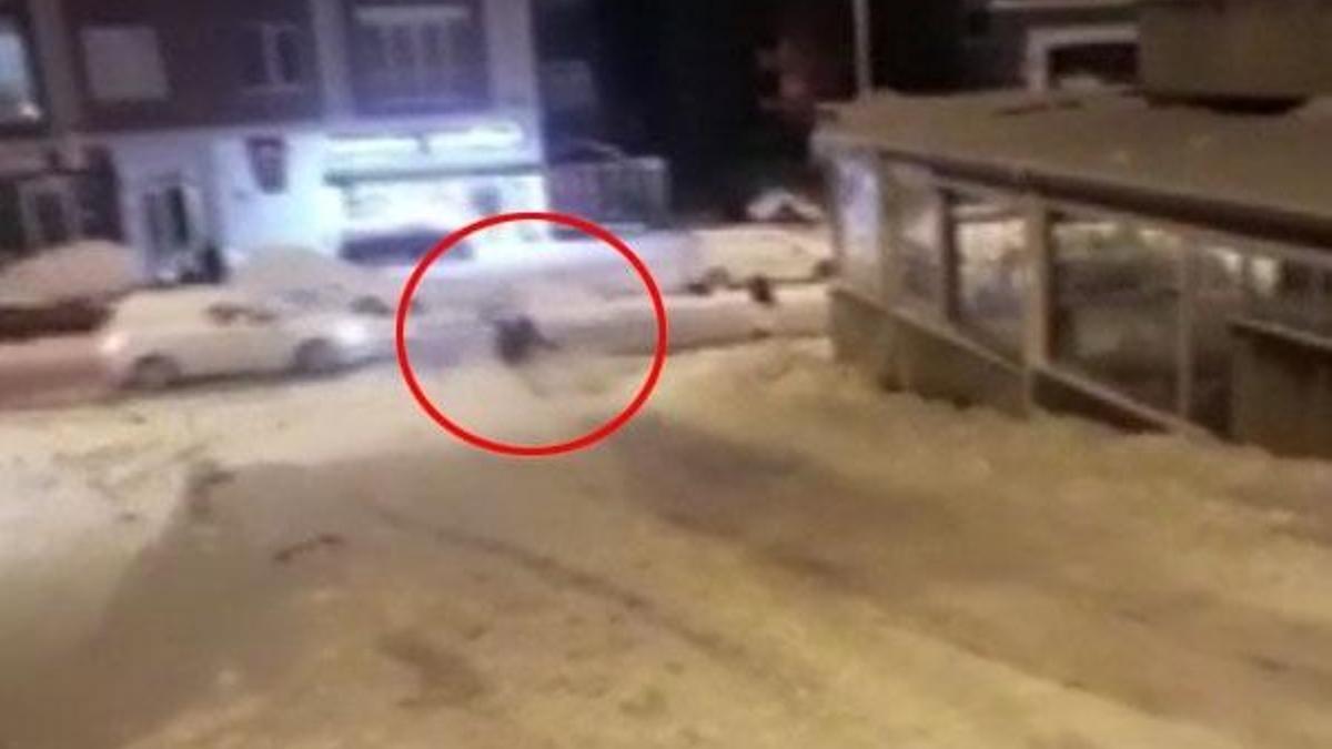 Poşetle kayak eğlencesi az daha facia ile bitecekti