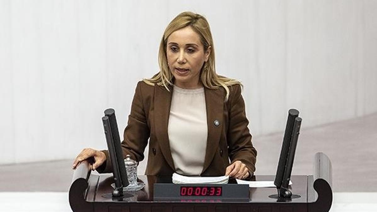 İYİ Parti'den istifa eden Çokal: Parti içinde Türk milliyetçileri dışlanıyor