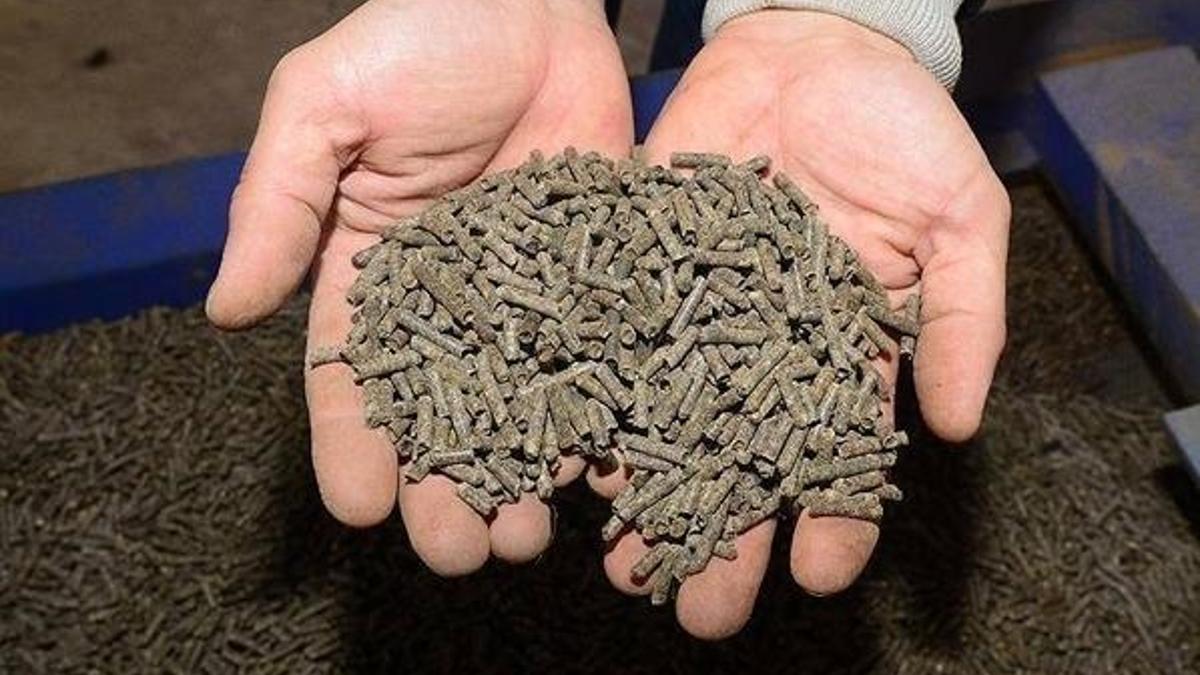 TC kimlik numarasına göre Tarım Bakanlığı 2020 Mazot Gübre Desteği ne zaman ödenecek? 2020 Mazot gübre desteği ne kadar?