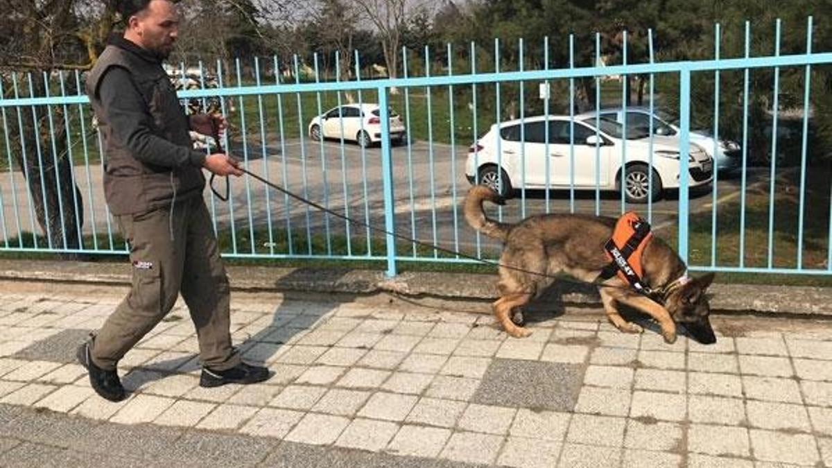 Elektrik arızasını koklayarak buluyorlar!