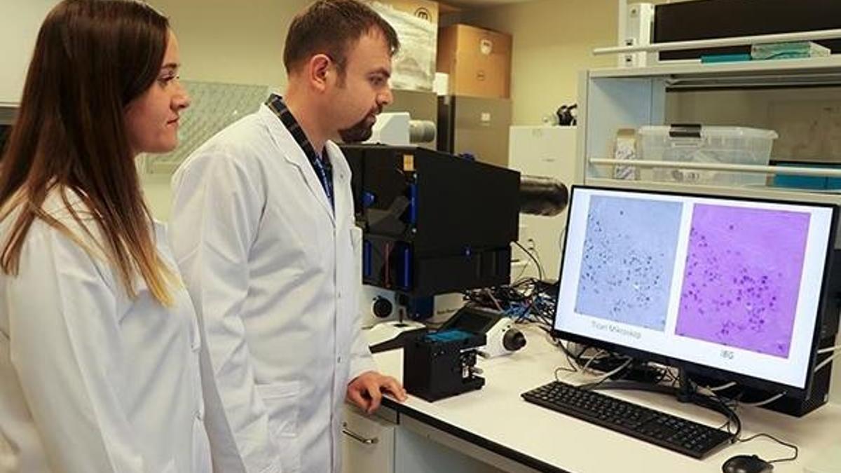 Türk bilim insanları görüntü kalitesi yüksek taşınabilir mikroskop geliştirdi