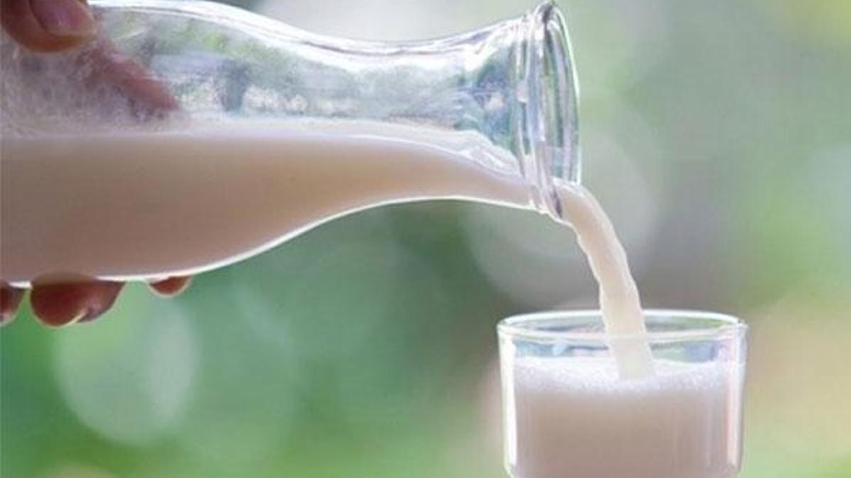 Süt ürünleri inme olasılığını azaltabilir