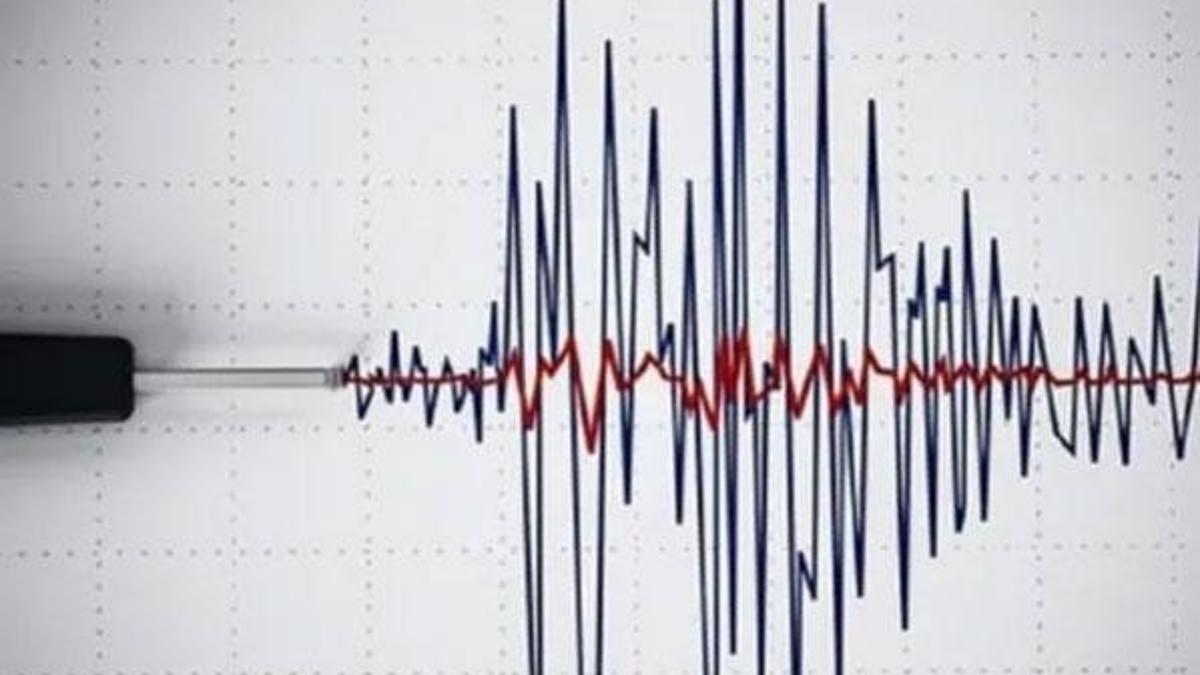 Van'da korkutan deprem!