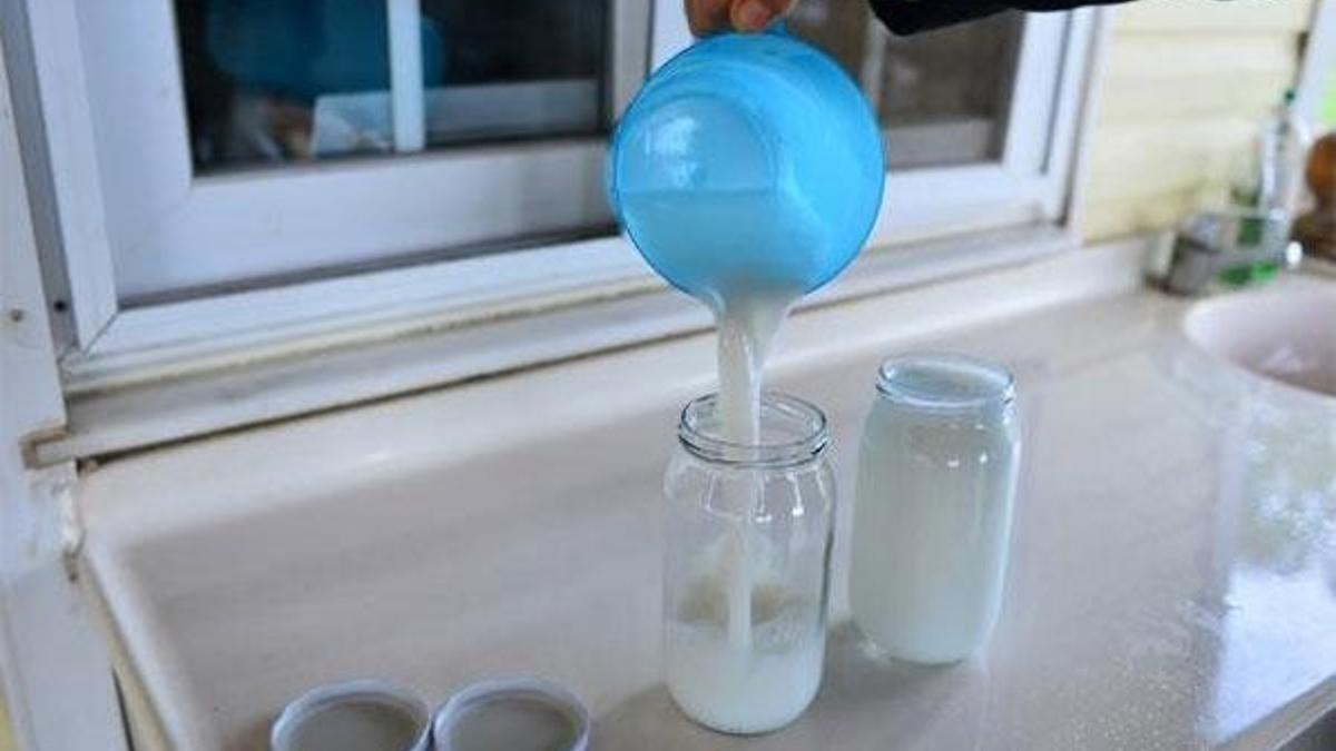 Litre fiyatı 150 lira olan eşek sütüne yoğun ilgi