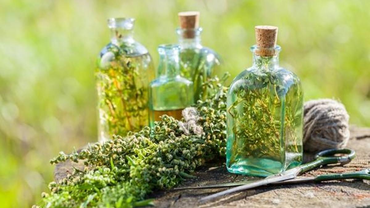 Kekik yağının faydaları - Kekik yağı ne işe yarar?