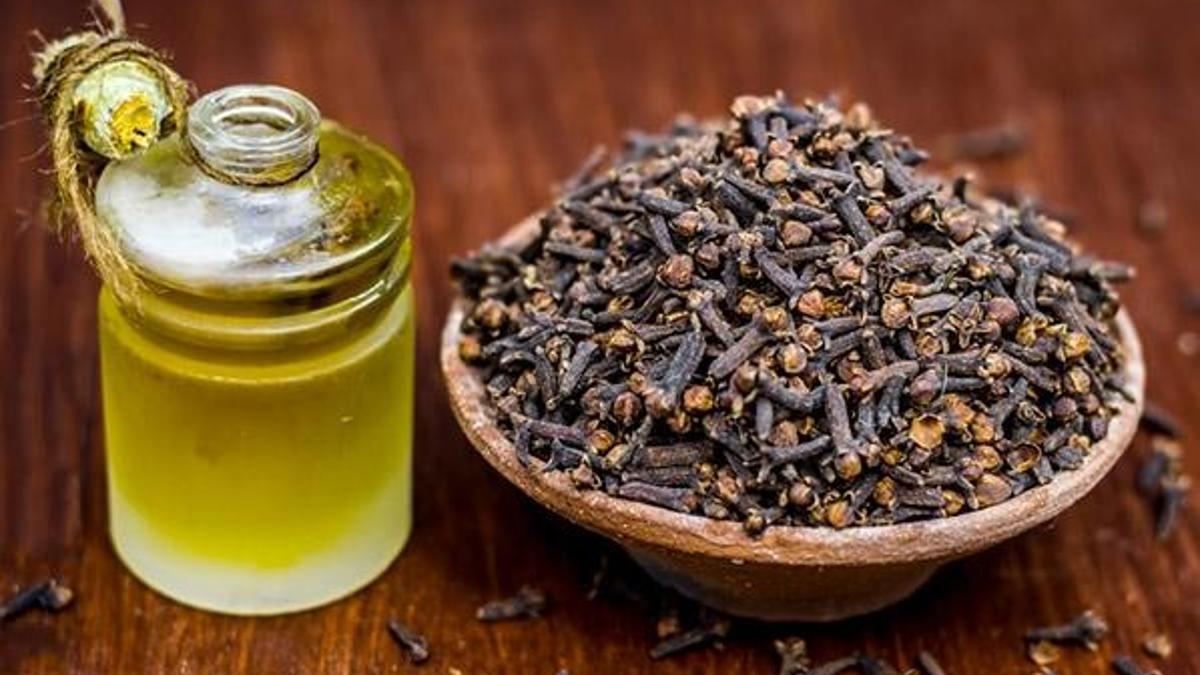 Karanfil yağının faydaları - Karanfil yağı ne işe yarar?