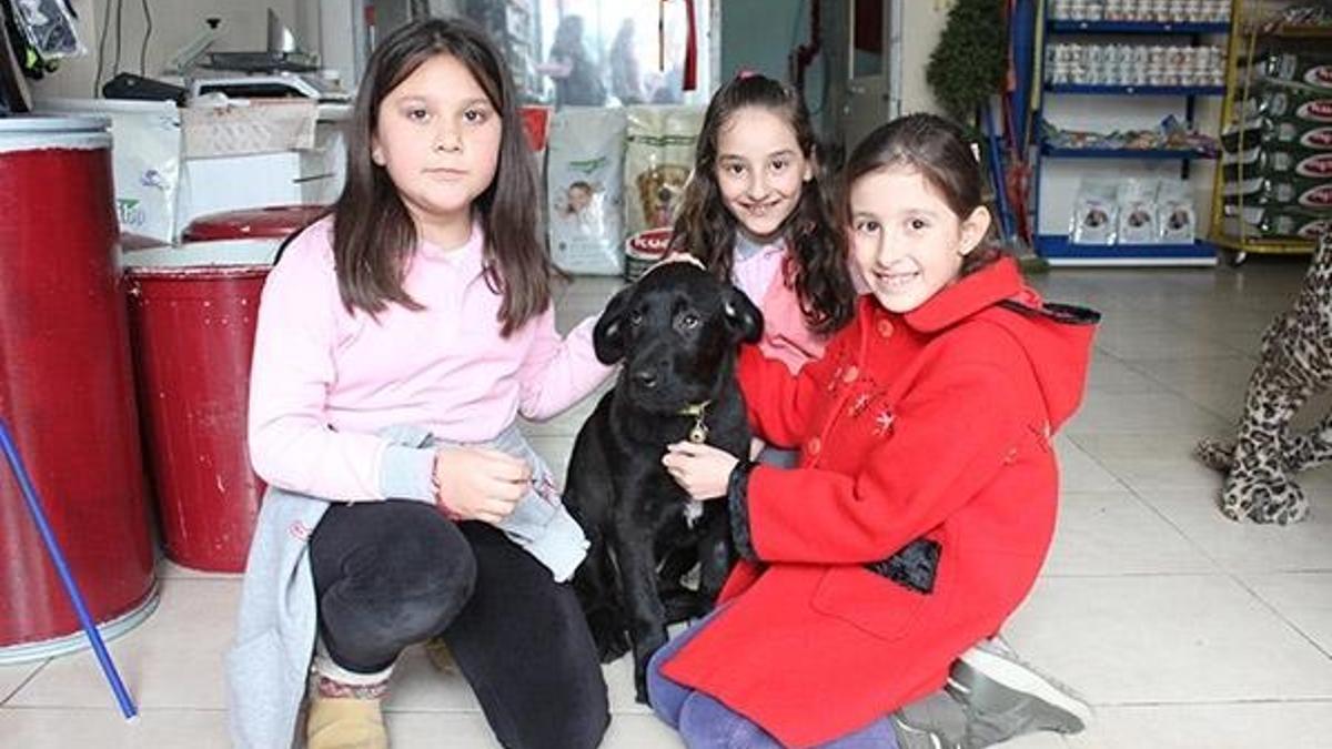 Mahalle ayağa kalktı! 'Sorumlusu kimse bulunsun'