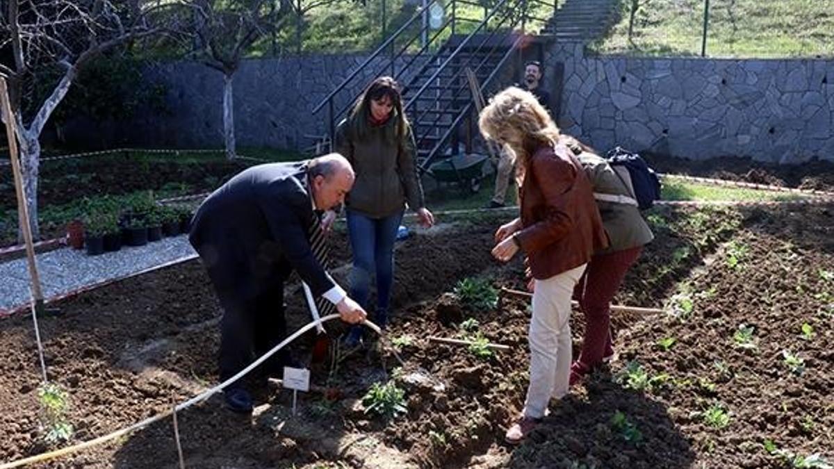 Yalova'nın endemik bitkileri koruma altında