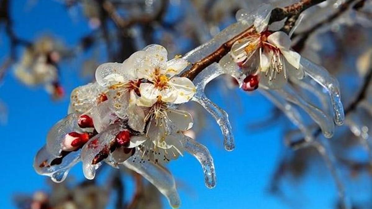 Meteorolojiden yağış ve zirai don uyarısı