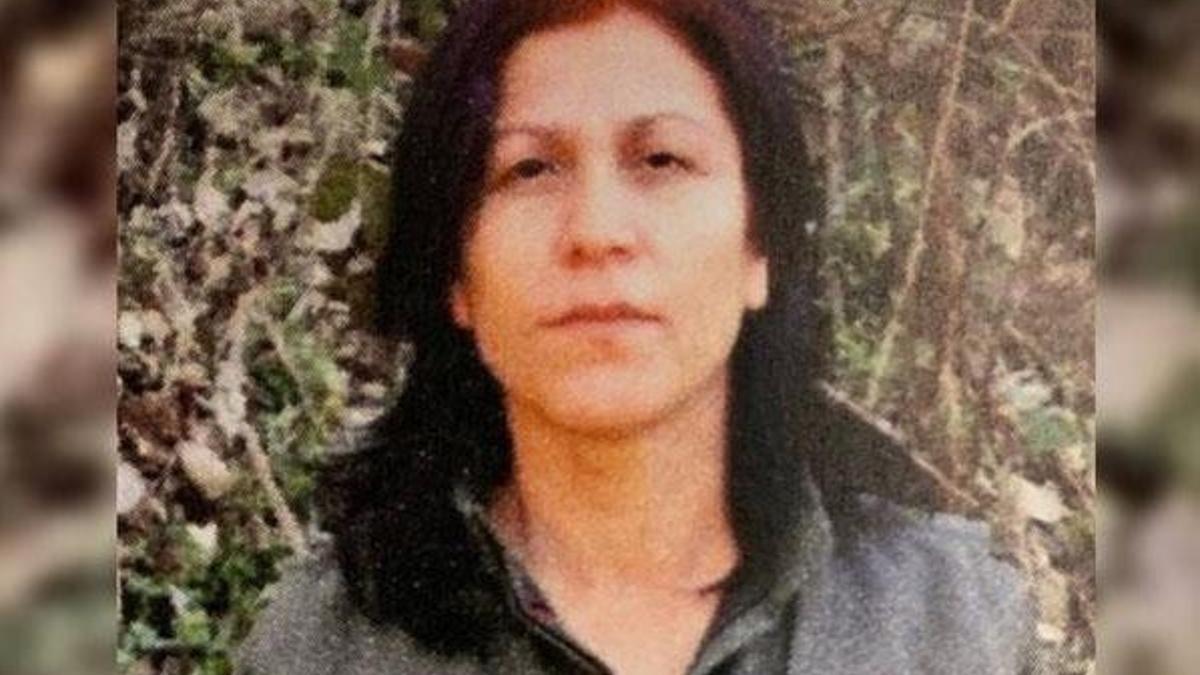 MİT ve TSK'dan ortak operasyon! Halide Tarı etkisiz hale getirildi