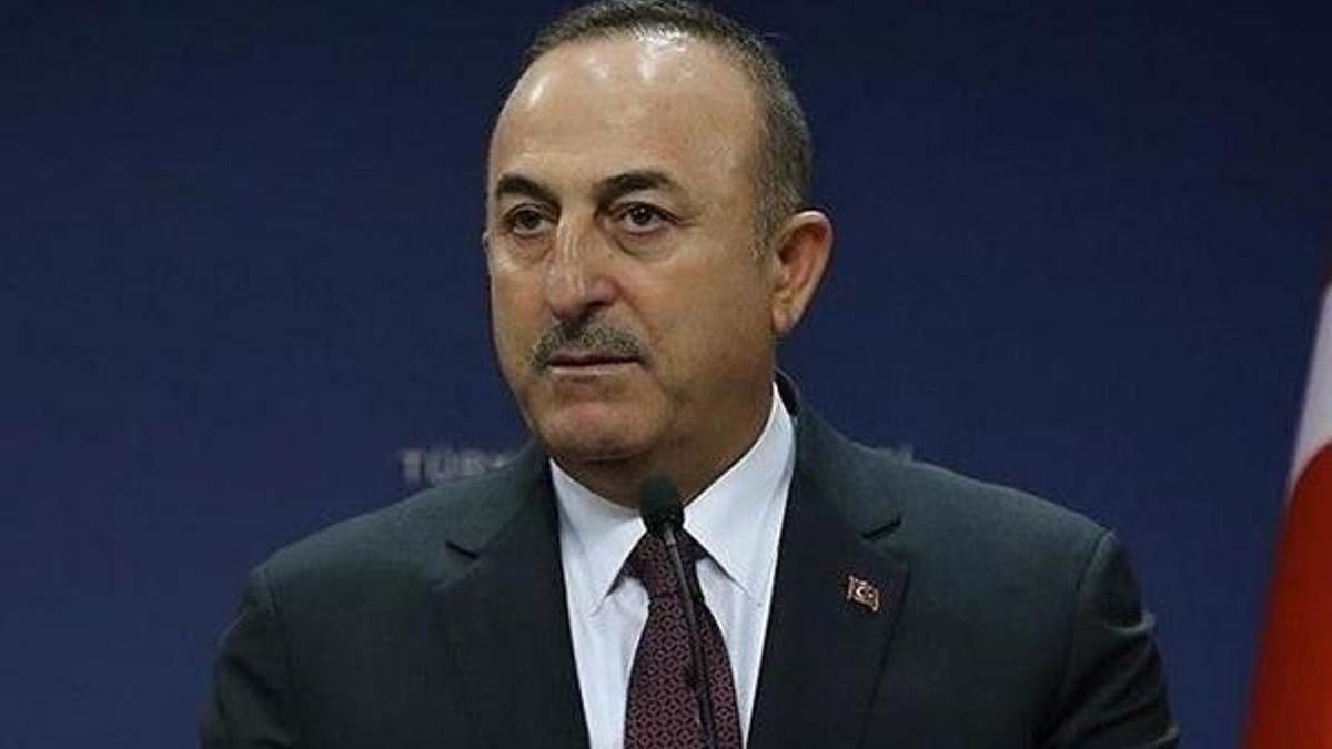 7 ülkeden 3 bin 358 Türk öğrenci getirilerek yurtlarda karantinaya alınacak